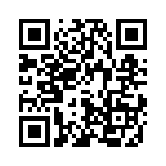 41ENG1-2313 QRCode