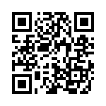 41ENG3-2311 QRCode