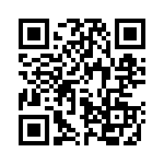 41F33R QRCode