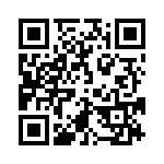 4281-5PG-300 QRCode