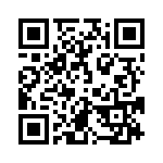 4282-8PG-300 QRCode