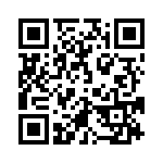 4291-4PG-300 QRCode