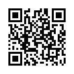 4304-4068 QRCode