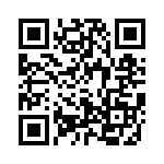 4308R-101-393 QRCode