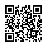 4310-0013 QRCode