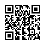 432300-04-0 QRCode