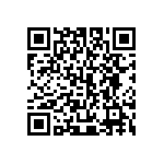 445I33J13M00000 QRCode