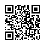 500R07S7R5BV4T QRCode