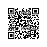 517-87-365-17-091111 QRCode