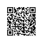 51741-10002407AA QRCode