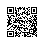 51742-10600800AA QRCode