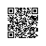 51760-10101201AA QRCode