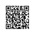 51760-10400804AA QRCode