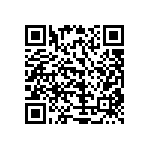 51762-10204000AA QRCode