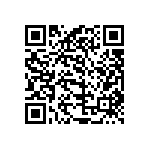 520L25CT13M0000 QRCode