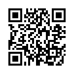 531EC106M250DG QRCode