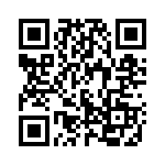 53403-1 QRCode