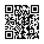 54101-T06-02 QRCode