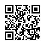 54101-T30-03 QRCode