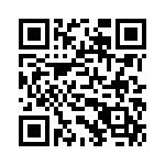 54101-T30-05 QRCode