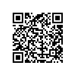 54111-404161200LF QRCode