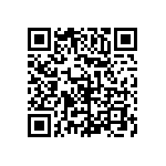 54121-411112500LF QRCode