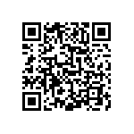 54122-106100950LF QRCode