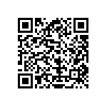 54122-412062500LF QRCode