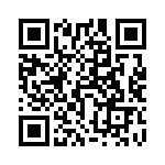 550252T300DF2B QRCode