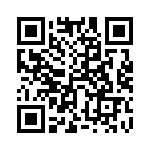 55101-G11-06 QRCode