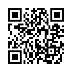 5530201300F QRCode