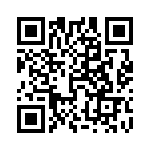 5613001100F QRCode