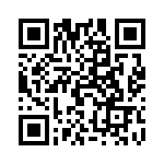 5912004013F QRCode