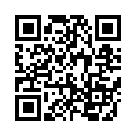 5913101013HF QRCode