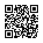 593131313013F QRCode