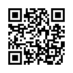 593131313313F QRCode