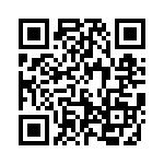 593303030302F QRCode