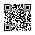 60130140153580 QRCode