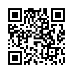 61030010022 QRCode