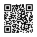 61302821121 QRCode