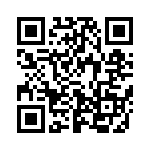 633E13302I2T QRCode