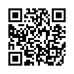 633P13303C2T QRCode