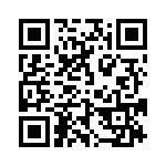 637E17332I2T QRCode