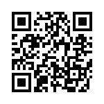 637P21256A3T QRCode