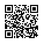 653E13306A3T QRCode