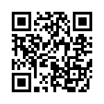 653P15365I3T QRCode