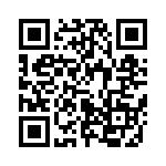 653P16003I3T QRCode