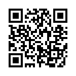 653P16115I3T QRCode