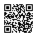 653P17505C3T QRCode