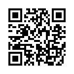 653P17505I2T QRCode